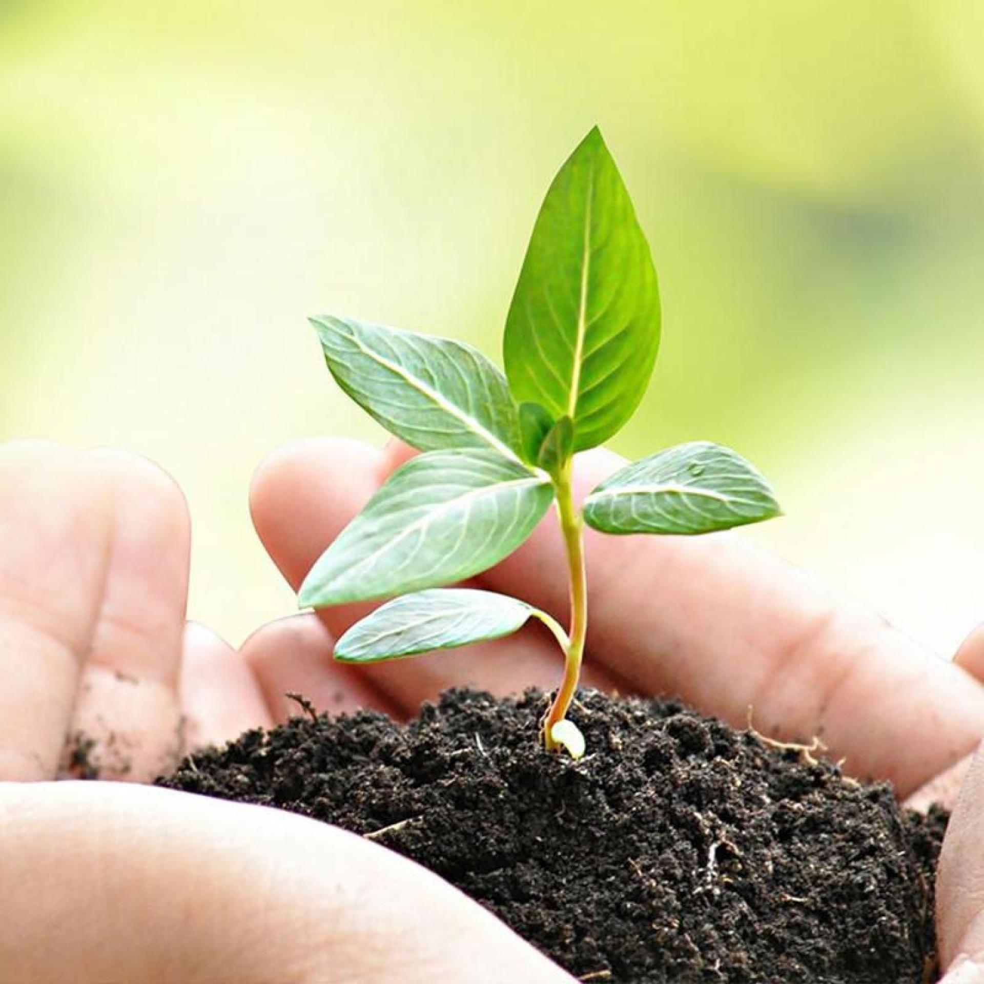 GESTÃO AMBIENTAL