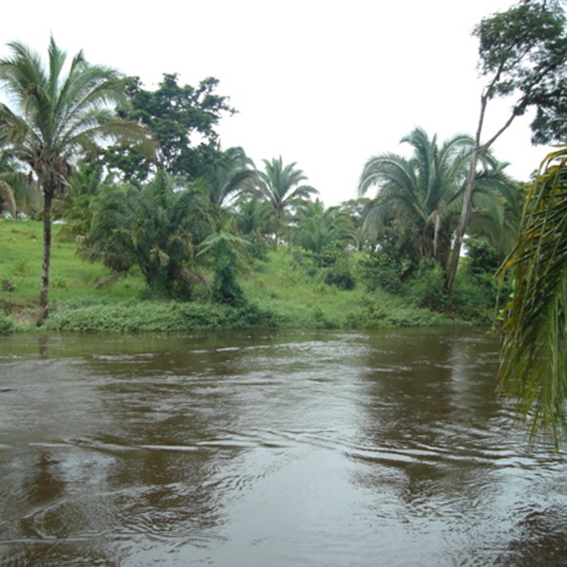 PCH Nova Guaporé (14 MW)